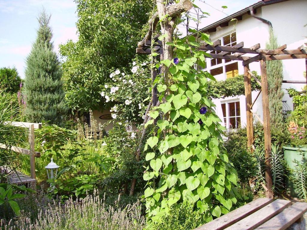 Ferienhaus-Weitblick Wohlau Exterior foto